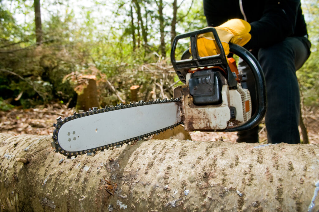 Why You Should Hire a Tree Service for Tough Jobs
