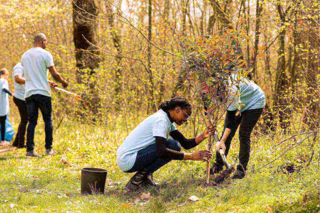 How to Choose the Right Tree Service Company in Mississippi: A Homeowner’s Guide