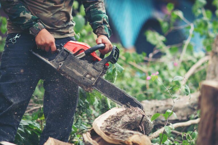 Read more about the article Landscape Transformation: The Strategic Power of Professional Tree Removal