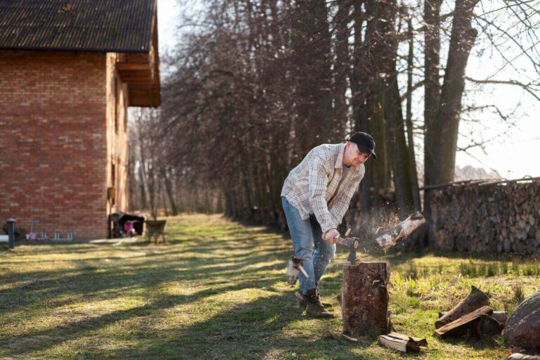 Read more about the article The Hidden Cost of Delaying Tree Removal: What Property Owners Often Overlook